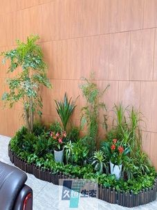 奉化企业大厅绿植组合摆放